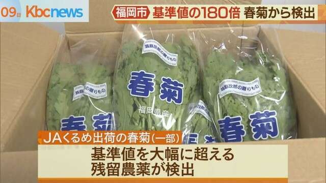 ＪＡくるめ出荷の春菊　基準値１８０倍の農薬検出（九州朝日放送） - Yahoo!ニュース
