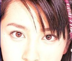オッドアイの画像が見たい