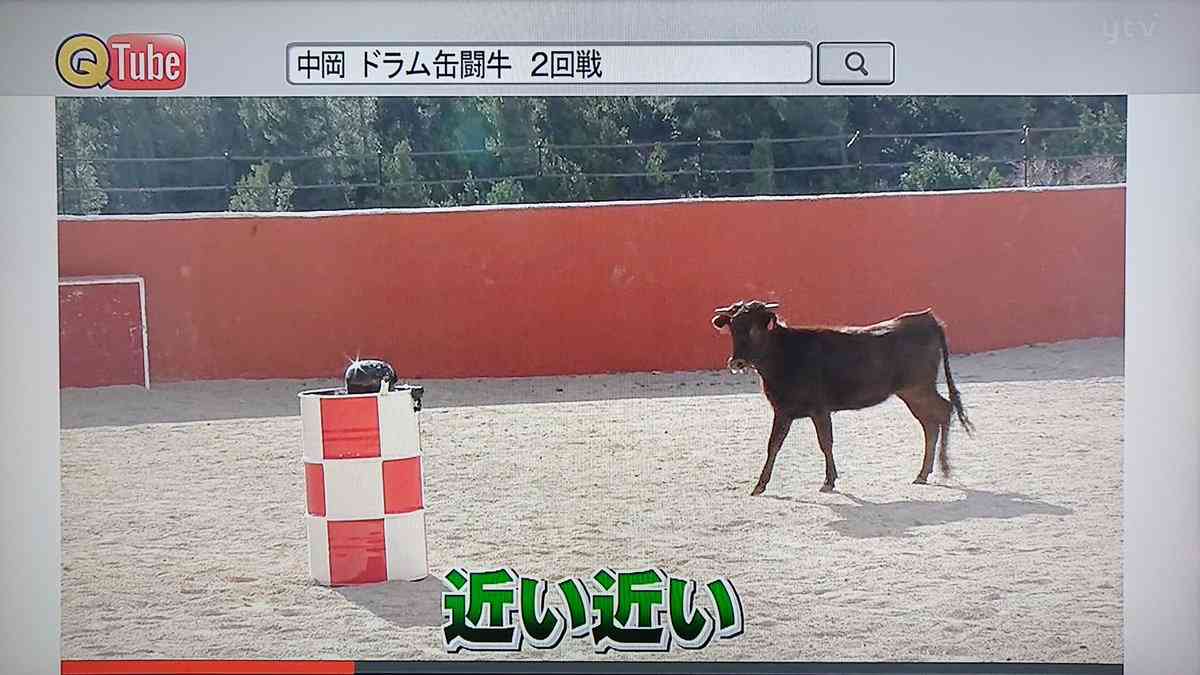 ロッチ中岡「現地のコーディネーターさんに早く会いたい」――“海外ロケ芸人”のコロナ禍の過ごし方