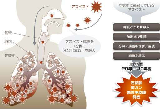 ニトリも自主回収…珪藻土マットにアスベスト混入か