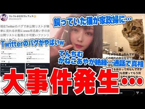 有名YouTuber同士のトラブルがやばい…てんちむ号泣、かねこあやの猫が家政婦に…Twitterのバグで非公開リスト流出で歌い手の彼女がバレるwww - YouTube