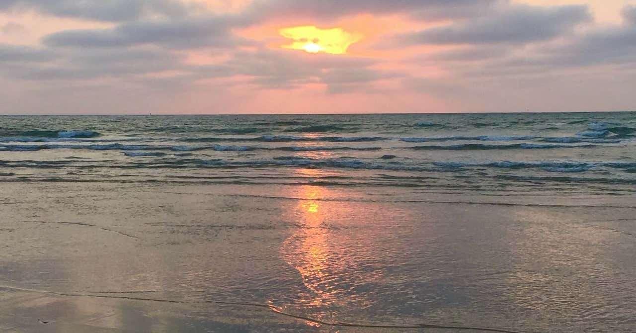 米津玄師と言うハイブランド｜wild orange｜note