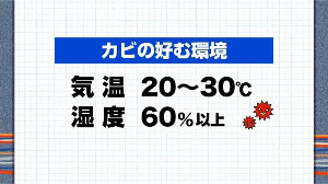 意外と怖い！部屋の埃に生息するカビ…呼吸不全で死に至ることも : yomiDr./ヨミドクター（読売新聞）