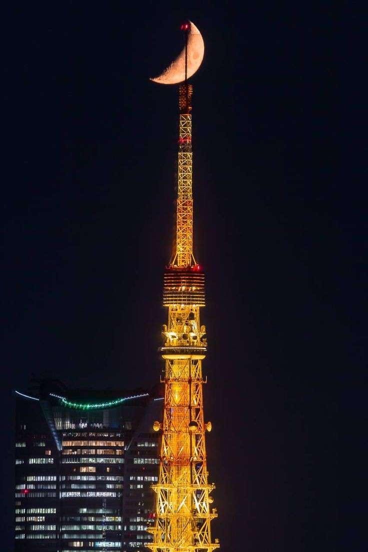 夜景の画像を観ながら夜を過ごすトピ