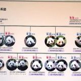 >>168雅子様、小和田家の先祖の墓きっちりさかのぼることもできなかった。そんな時... | ガールズちゃんねる - Girls Channel -