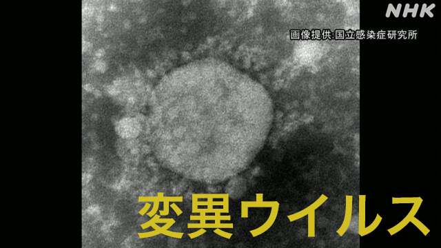 新型コロナ変異ウイルス 濃厚接触者の女性も感染確認 静岡 | 新型コロナウイルス | NHKニュース