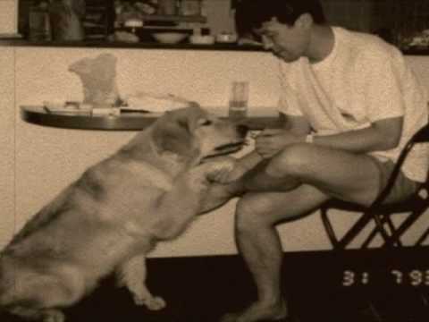 エイジア エンジニア/『犬のうた ～ありがとう～』フォトトレイラー - YouTube