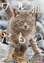 猫が苦手な人、嫌いな人集まれ～part6