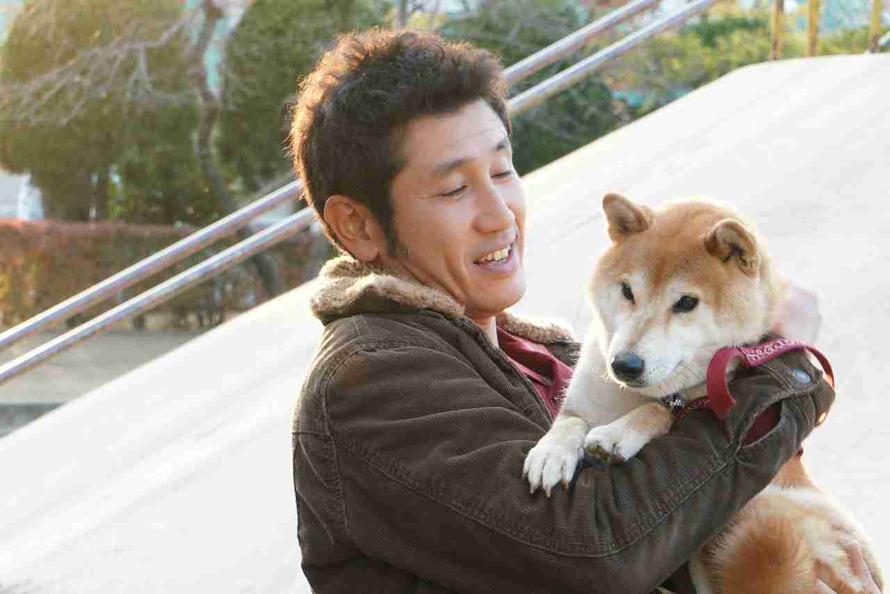 人気犬種ランキングは「トイ・プー」が12年連続の1位　「チワワ」「MIX犬」「柴犬」「ポメ」も不動の人気