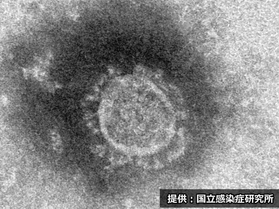 親族が家に集まって飲食し９人陽性、クラスターに　岐阜県で５６人感染、１人死亡（岐阜新聞Ｗｅｂ） - Yahoo!ニュース