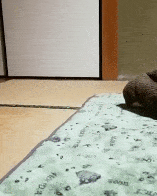 ガルちゃんで画像（サイト）を貼り付ける方法＆練習Part28