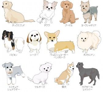 ガルちゃんで画像（サイト）を貼り付ける方法＆練習Part28