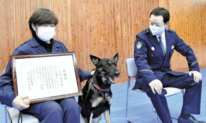 枕カバーのにおい、たどって行方不明者を発見…警察犬と指導手に感謝状 : 社会 : ニュース : 読売新聞オンライン