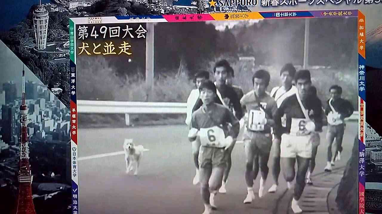 【犬と並走】(第４９回箱根駅伝) - YouTube