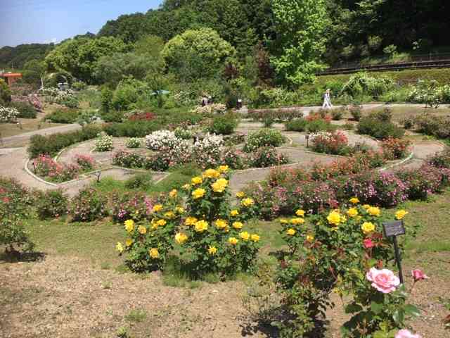 赤座ひではるのブログ