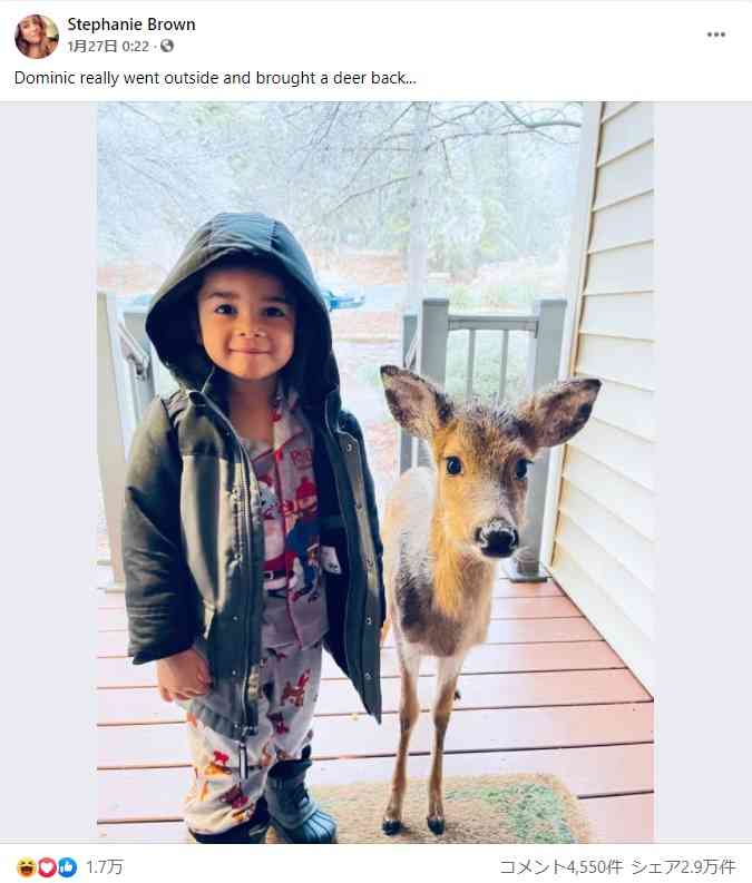 4歳男児が野生の小鹿と一緒に帰宅　「子どもは不思議な力を持っているね」（米）