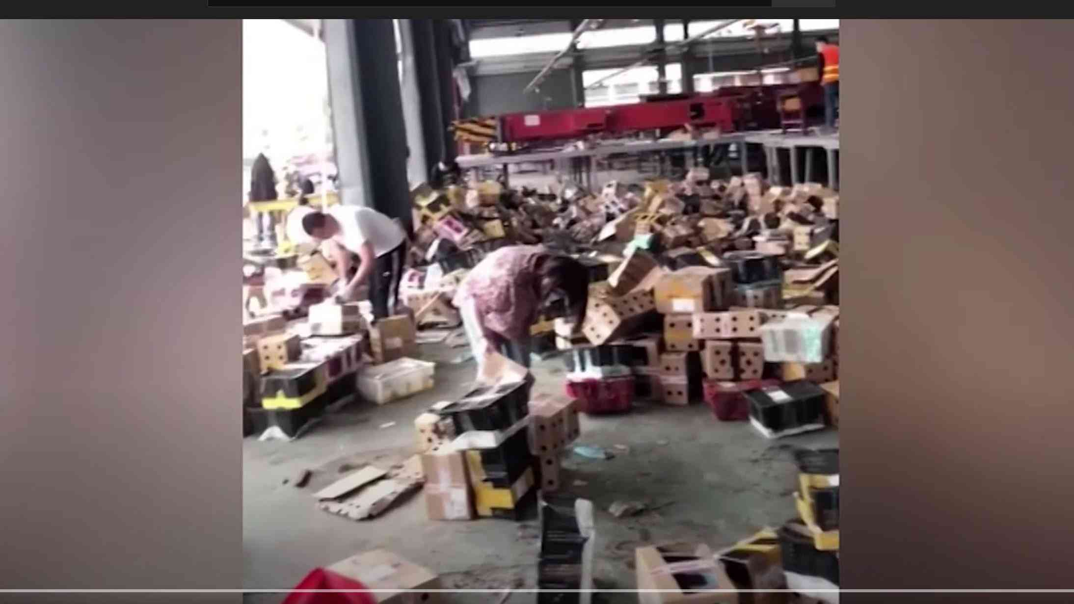 地獄の光景と漂う腐臭─中国、箱詰めで死んだ状態のペットが5000匹以上見つかる（クーリエ・ジャポン） - Yahoo!ニュース