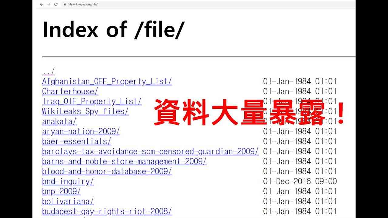 トランプ、作戦開始？ショッキングな資料大量暴露！ - YouTube
