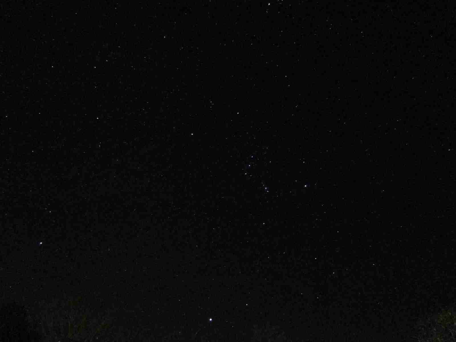 お部屋の天井を見せてください