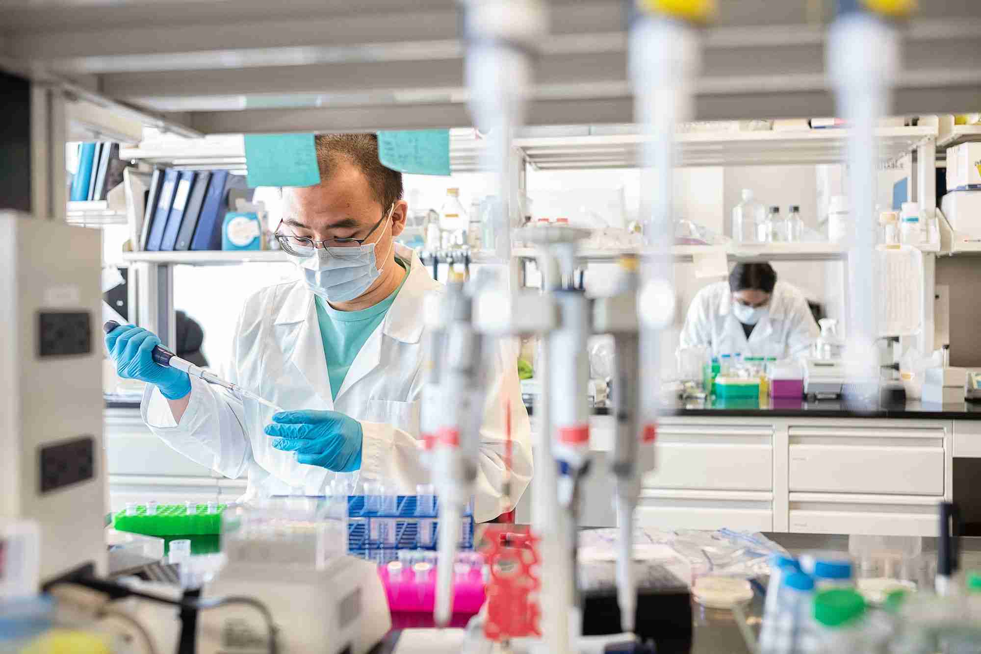 新型コロナウイルスは、HIVウイルスのように免疫系を破壊する？ その鍵は「T細胞」が握っている | WIRED.jp