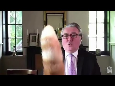 「ロホ、しっぽを下げなさい」　英議会のビデオ会議中に…… - YouTube