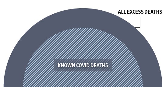 世界のコロナ死者数、実際は公表数より上振れか - WSJ