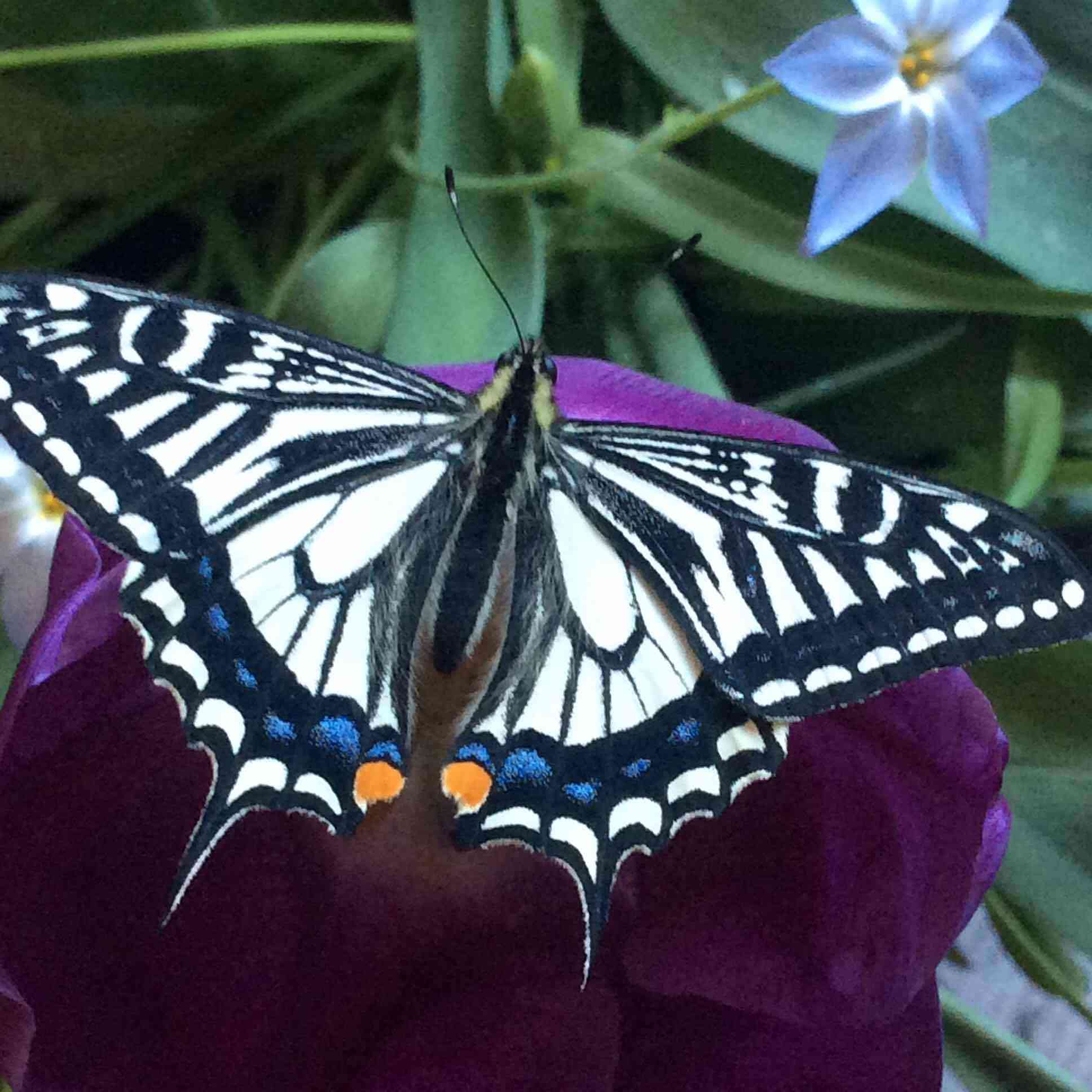 ”【大至急】 石けん成分を有害物質に指定する件の パブコメ募集 1／4 夜中 〆切” | 失意も恵み