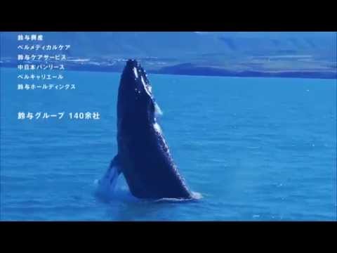 【鈴与グループ】TVCM（くじら篇、2015年10月～） - YouTube