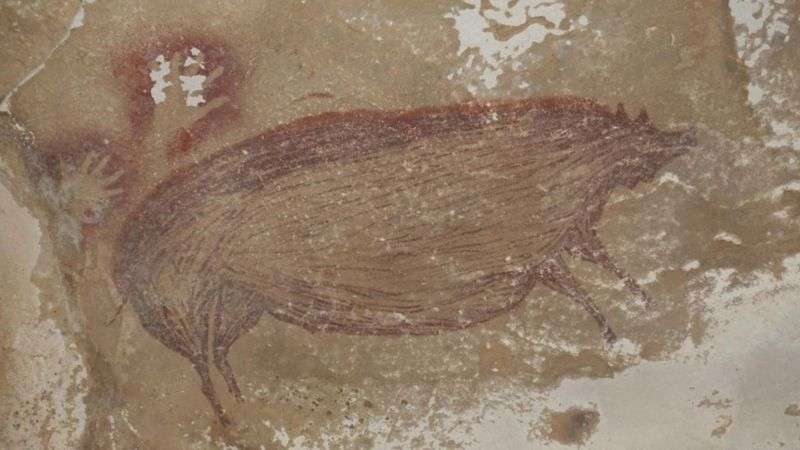 「世界最古」4万5500年前のイノシシ壁画　インドネシアで発見