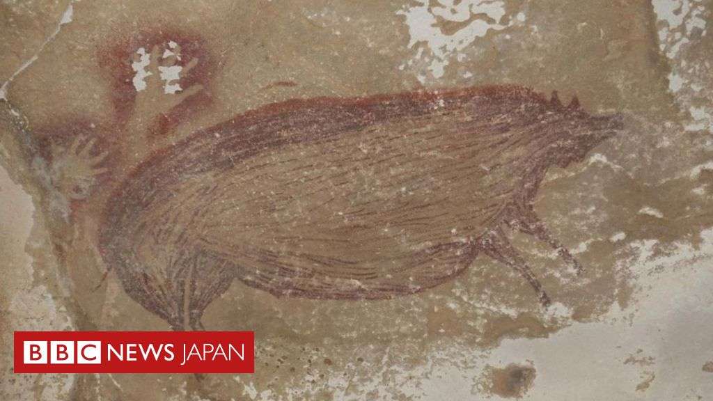 「世界最古」4万5500年前のイノシシ壁画　インドネシアで発見 - BBCニュース