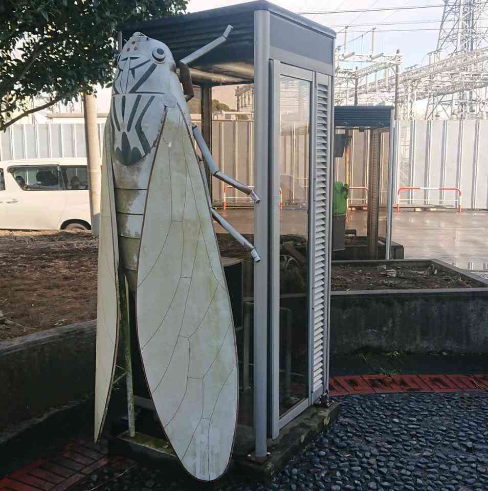 ここに入る勇気ある...？　千葉の電話ボックスにへばりつく、巨大セミオブジェの謎を追う - コラム - Jタウンネット　東京都