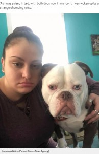 「血？　事件？」いたずら犬に飼い主は「心臓が止まるかと思った！」（米）