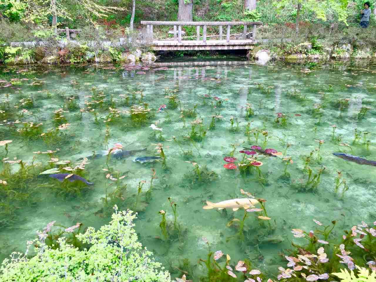 がっかり観光地選手権！