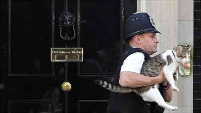    イギリス首相官邸ネズミ捕獲長・ラリー氏の更迭劇、その時何が起こったのか - DNA