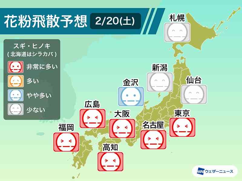 2月20日(土)の花粉飛散予想　東京や大阪など広範囲で大量飛散のおそれも（ウェザーニュース） - Yahoo!ニュース