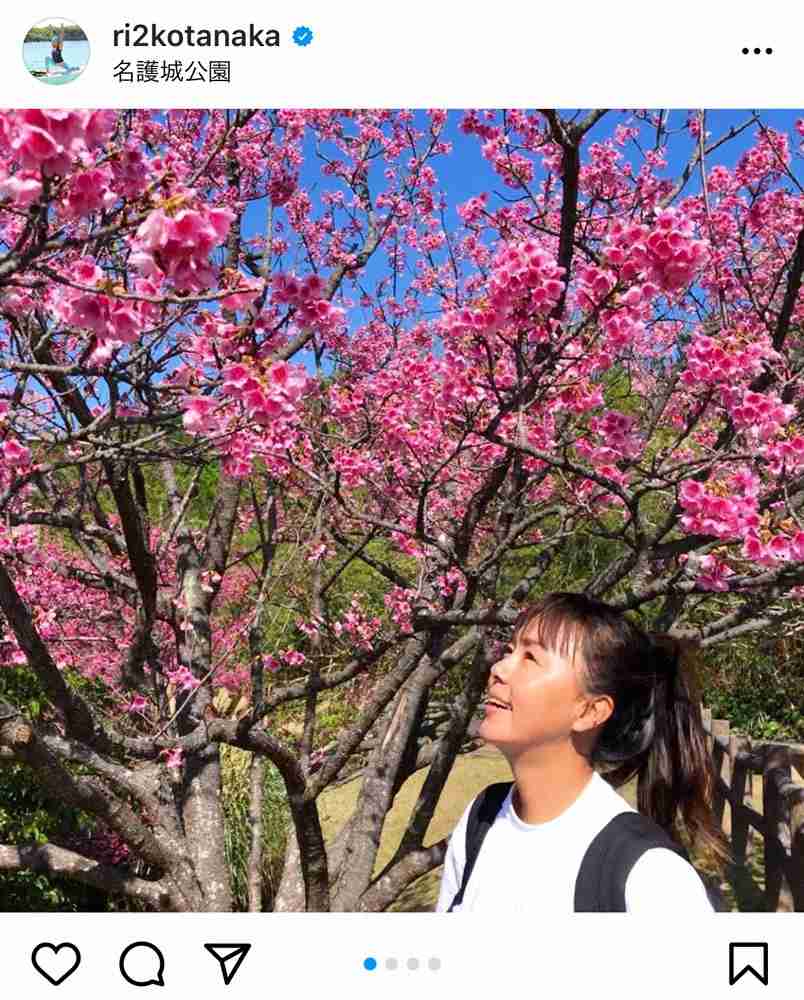 田中律子「桜が満開」　お花見写真にフォロワー「うらやましい」「こちらはまだ雪…」