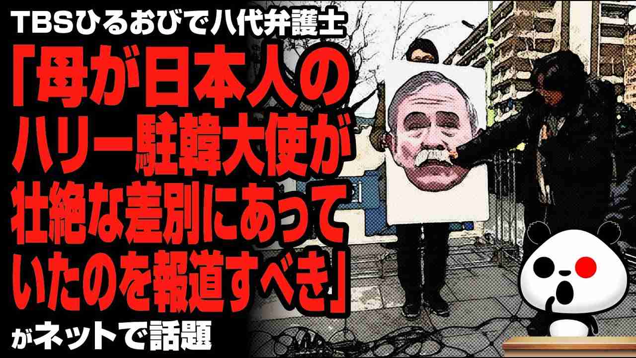 八代弁護士「母が日本人のハリー駐韓大使が壮絶な差別にあっていたのを報道すべき」が話題 - YouTube