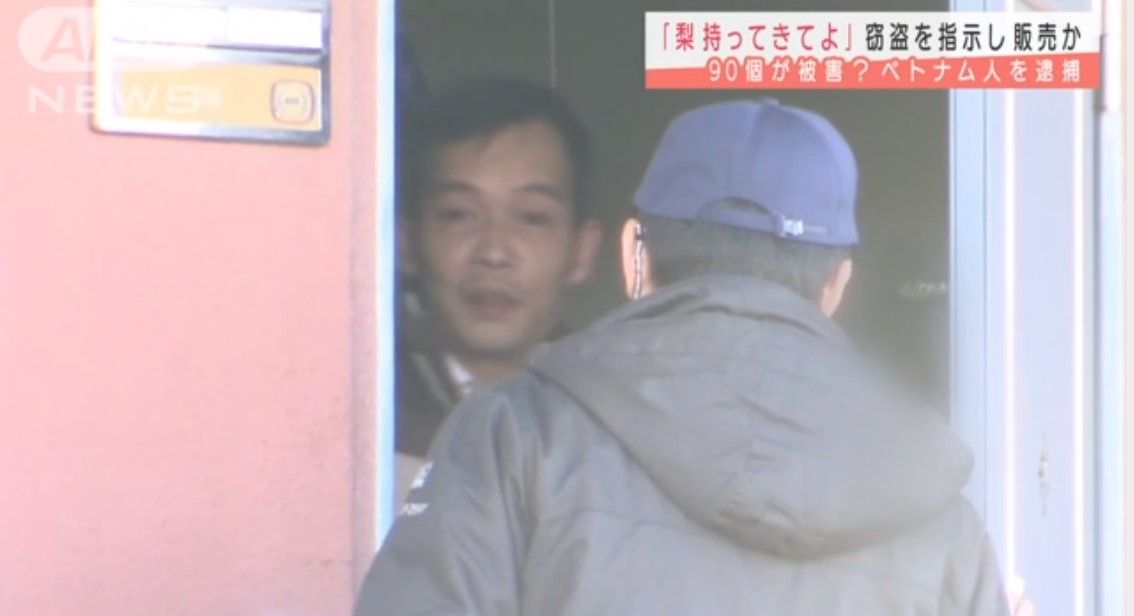 ベトナム人窃盗団が「食物」を狙うようになった食欲ではない“意外な理由”《ナシ5000個、豚と牛は生きたまま》（文春オンライン） - Yahoo!ニュース