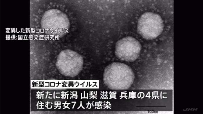 変異ウイルス感染、４県で７人 ブラジル型も｜TBS NEWS