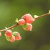 雨雲 on Twitter: 