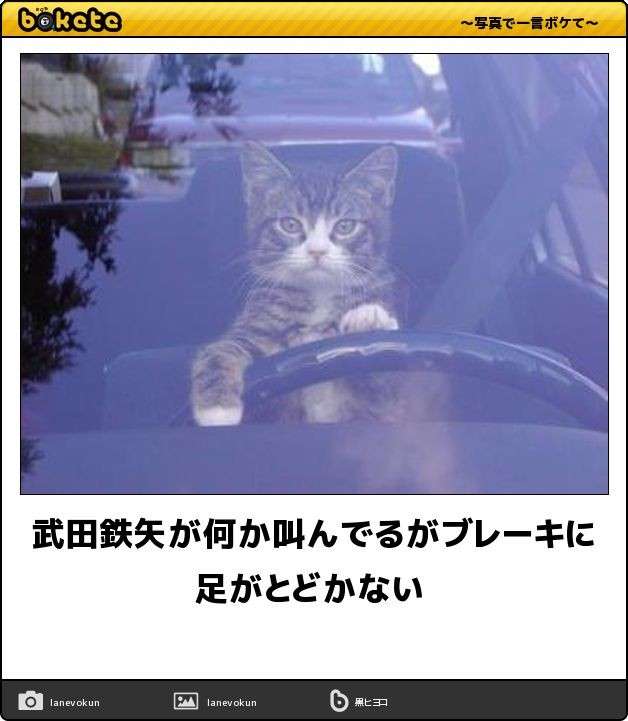 武田鉄矢の画像を貼って雑談するトピPart4