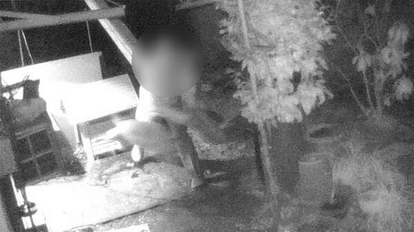 庭に侵入 犬に暴行で逮捕　動物虐待73歳の男