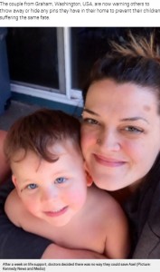 4歳児、誤飲した画鋲で肺に穴が開き死亡（米）