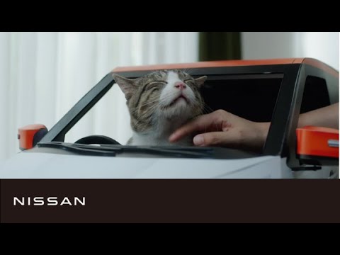 【デイズ】ねこCMメイキング | ねこ用日産軽自動車 | #にゃっさんデイズ - YouTube
