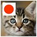 yaya0139 on Twitter: 