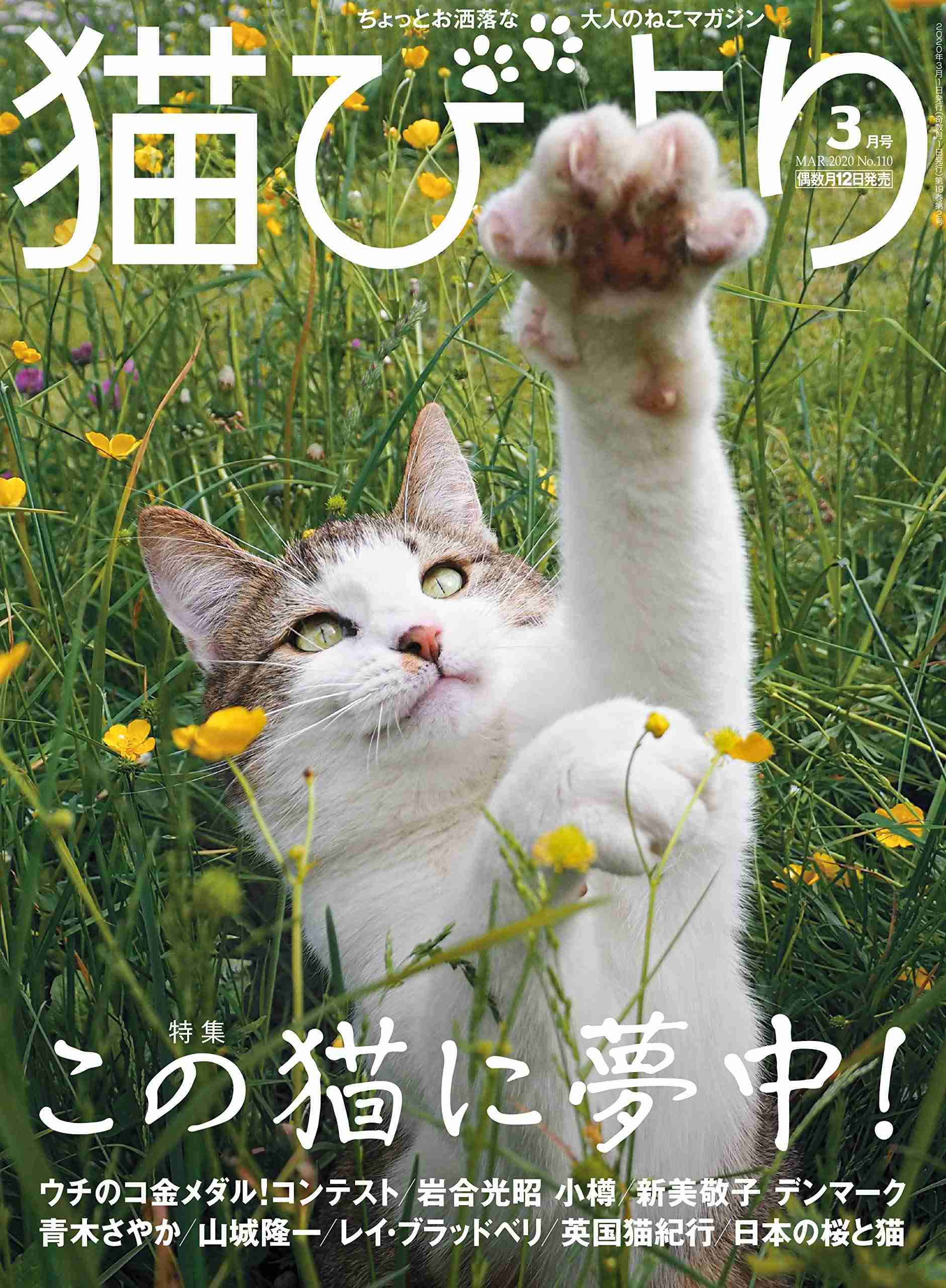 いろんな本の表紙を見たい