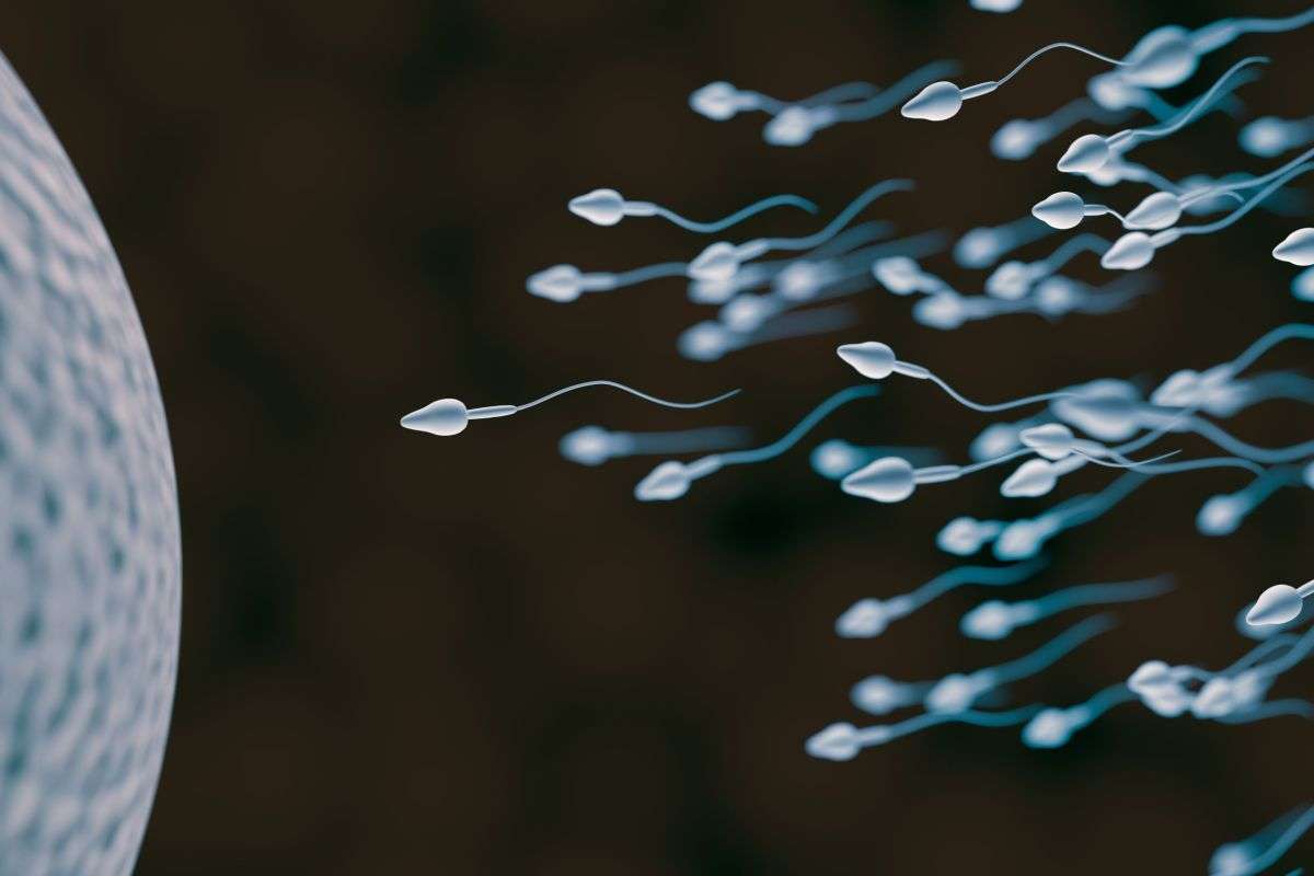 COVID-19 may lower sperm counts, small study finds | Live Science
