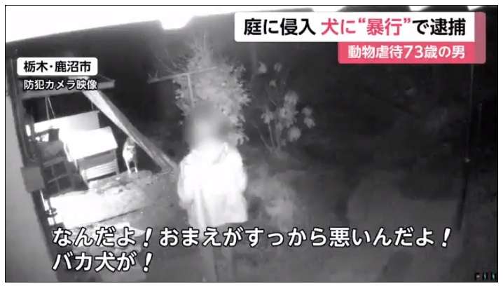 庭に侵入 犬に暴行で逮捕　動物虐待73歳の男