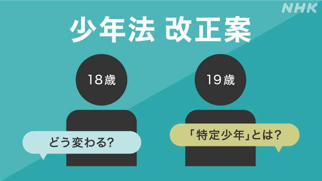 少年法などの改正案を決定 18歳 19歳は「特定少年」と位置づけ | 事件 | NHKニュース