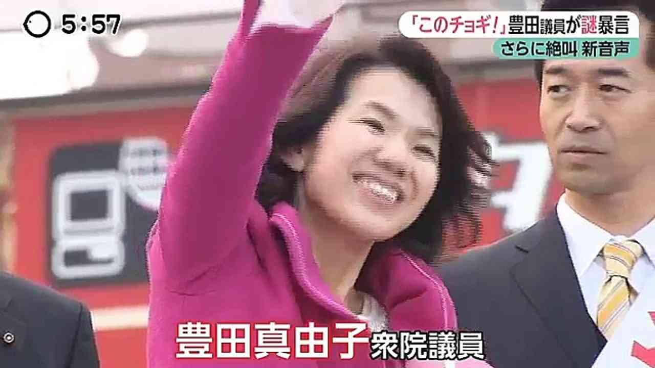 【新音声】チョギ！国籍ごまかして政治やってるのか？人権侵害　暴力議員【豊田真由子】罰金位じゃ済まさんぞ！コメント可～youtube - video Dailymotion